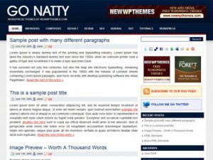 Go Natty Free WordPress Theme