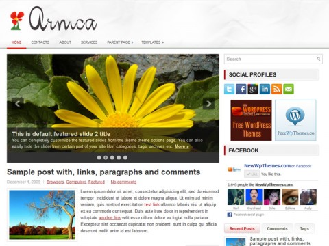 /arnica_free_wordpress_theme/Arnica_Free_WordPress_Themes.jpg