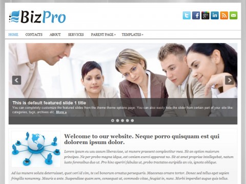 /bizpro_free_wordpress_theme/BizPro_Free_WordPress_Themes.jpg