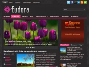 /category/flower_wordpress_themes/Eudora_Free_WordPress_Theme.jpg